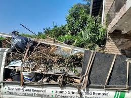 Best Hoarding Cleanup in Hampton, SC