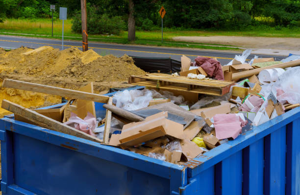 Best Basement Cleanout in Hampton, SC